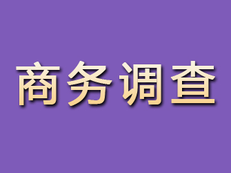 德令哈商务调查